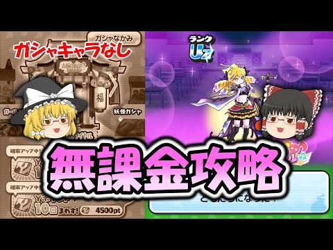 新シリーズ「アイドルロワイヤル」を無課金攻略！【ぷにぷに】【ゆっくり実況】