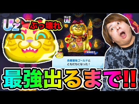 ぷにぷに「大事件発生ですっ!!!!!」赤魔寝鬼ゴールド出るまで超妖魔ガシャ!!【妖怪ウォッチぷにぷに】新ランクUZ再び登場 Yo-kai Watch part1730とーまゲーム